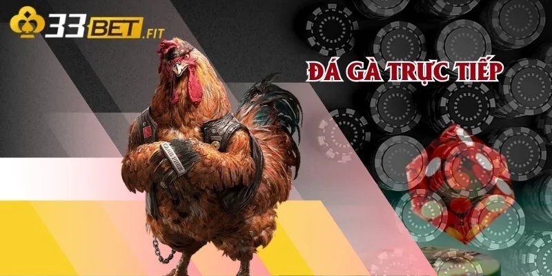 Đá gà trực tiếp
